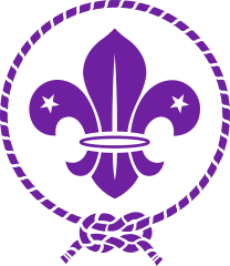 International Scout Symbol